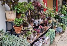 Lainnya 3 Chengjiang Jiayanlai Hotel