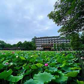Hotel Interior/Public Areas1Gold Eagle Resort,井研县飯店