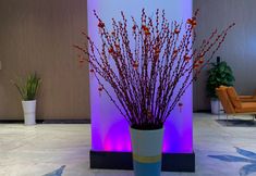 Lain-lain 6 Ying Feng Hotel