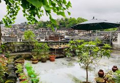 Others 2 Muheju Zen Hostel