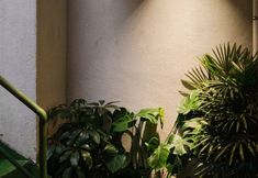 Others 3 Joyous Hour(Xi'an Zhonggulou Huimin Street Homestay)