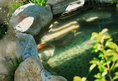 其他 5 Dali Eryuan Yinlanxi Hot Spring Resort Hotel