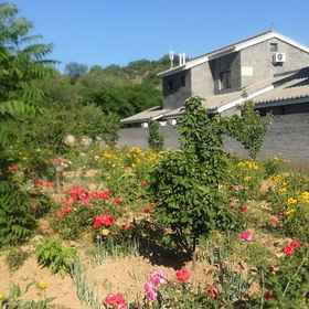 Hotel Exterior 1 บ้านไร่จิงมี่กูไท, โรงแรม & ที่พัก Simatai Great Wall Tourist Area