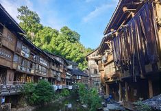 その他 2 Miaowo Youth Hostel