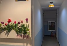 기타 7 Sanya Golden Elephant Hotel (Dadonghai Summer Department Store)