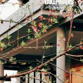 Hotel Exterior 1 Courtyard NO. 7,Wanfenglin, Zhenfeng Xian Hotels