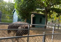 Others 4 Sharing tide and beautiful sea view