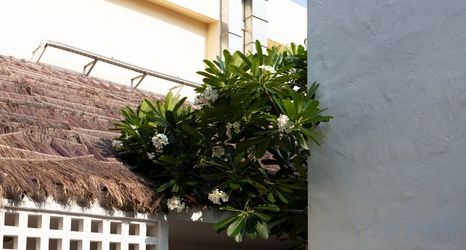 Others 2 Paper Plane CNX