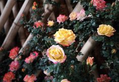 อื่นๆ 4 Pianyungui Boutique Homestay