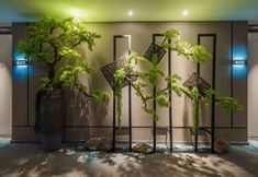 Lainnya 6 Homeinn Selected Hotel (Wenfeng Square Commercial Street, Lianyungang)