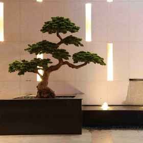 Hotel Exterior 1 TILL BRIGHT Hotel (Changsha IFS International Finance Center Wu Yi Square), Huangxing Square Hotels