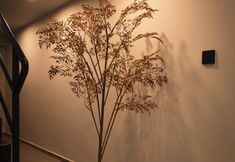 Lain-lain 5 Dali Ancient City Ancient Tea House Holiday Villa