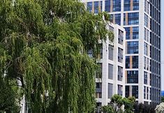 Others 6 Suzhou lake house apartment