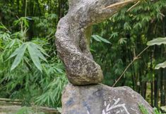 Others 7 Satiya Zen Stay at Emei — Rooted in Art & Nature