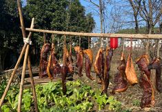 Others 6 Youjian Chuiyan Inn