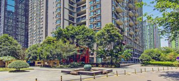 Others 2 Chengdu Ginkgo Homestay