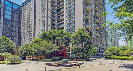 Others 2 Chengdu Ginkgo Homestay