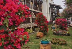 Others 3 Star & Lake Hotel