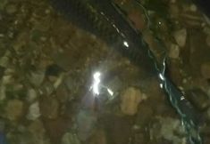 Khác 6 Fuxian Lake Ruiqi Inn