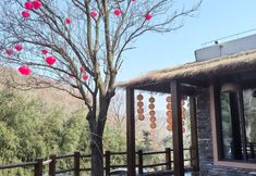 Others 7 Yibanshanye Anzhiruosu