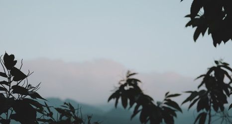 Others 2 Boutique Inn