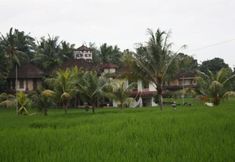 其他 6 Nick's Hidden Cottages by Mahaputra