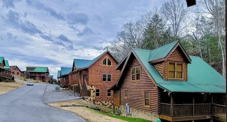 其他 2 Dog-friendly cabin with private hot tub, free WiFi, pool table, and central AC