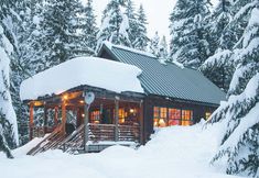 其他 4 Ski-in Access and Cozy Woodstove - Inviting Forest Retreat