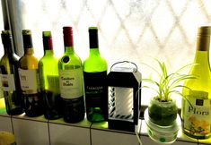 其他 3 Bamboo House