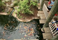 その他 4 Breathtaking Ocean Views and Luxury Amenities - Stunning Coastal Haven