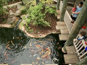 その他 4 Breathtaking Ocean Views and Luxury Amenities - Stunning Coastal Haven