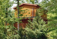 Others 4 Heated Swimming Pool and Game Room - Amazing Log Cabin Retreat