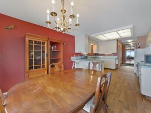 Lainnya 4 Bella Beach Beauty