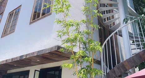 기타 2 Changsha April 3 Mountain View Terrace Homestay (Yuelushan Hunan University)