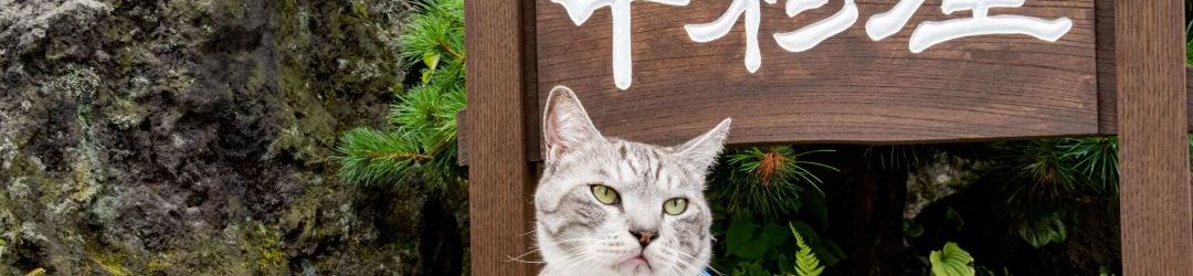 Others Nakamuraya Ryokan