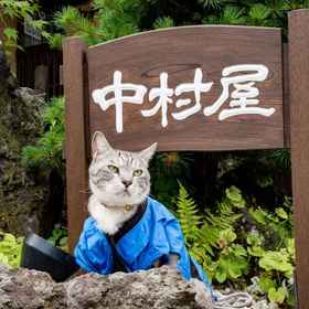 Others 1 中村屋旅馆, Moritei 酒店