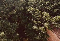 기타 5 Xi'an Xuanyuge Homestay