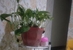 其他 7 Changsha Hua'an Inn (South Bus Station Hongxing Exhibition Center)