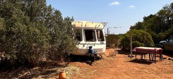 其他 5 Michas caravan for 2 See the herd of horses from your bed