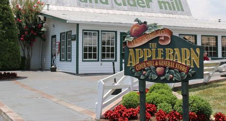 Others 2 Charming Cabin with Game Room and Hot Tub - Cozy Mountain Retreat