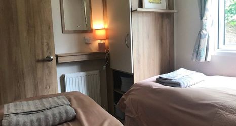 Others 2 Badgers nestled in a cozy corner of the park