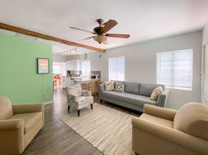 Lain-lain 4 Peaceful Parrot and Parakeet