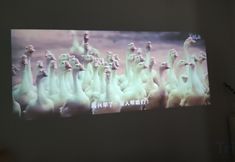 Others 2 Fenghui Courtyard Homestay (Huimin Street)