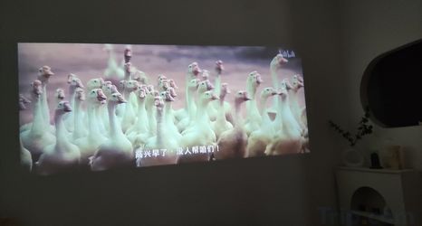 Others 2 Fenghui Courtyard Homestay (Huimin Street)