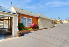 Others 3 Starfish -3