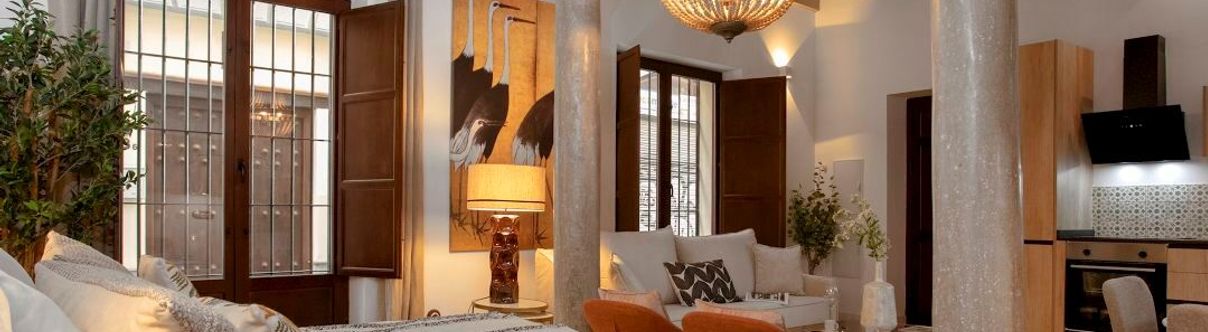 Others Exclusive studio in Granada center. Horno Marina 1