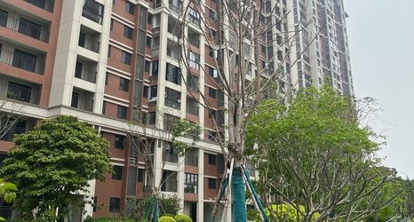 Others 2 Licheng Impression Homestay (West Street)