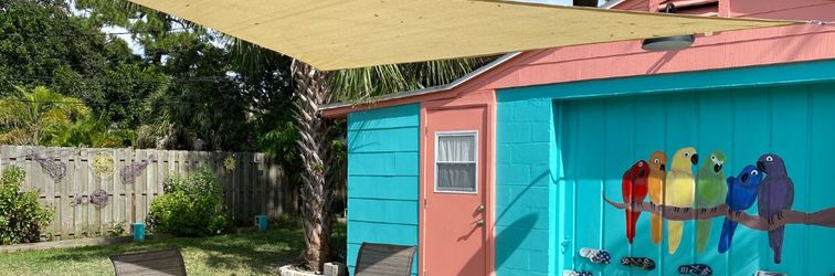 Others Peaceful Parrot and Parakeet