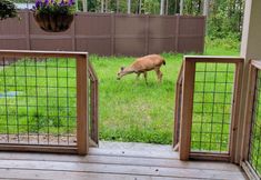 其他 3 Newer, dog-friendly home at the forest's edge with patio & WiFi - near downtown