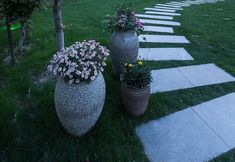 Lainnya 6 Dayang Mountain Forest Quanli Homestay